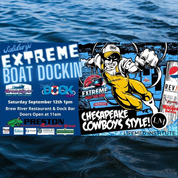 Extreme Boat Docking - Brew River image
